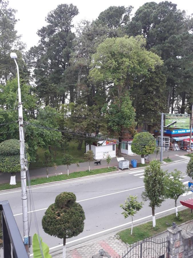 Magnolia Hotel Agmashenebeli Kobuleti Εξωτερικό φωτογραφία
